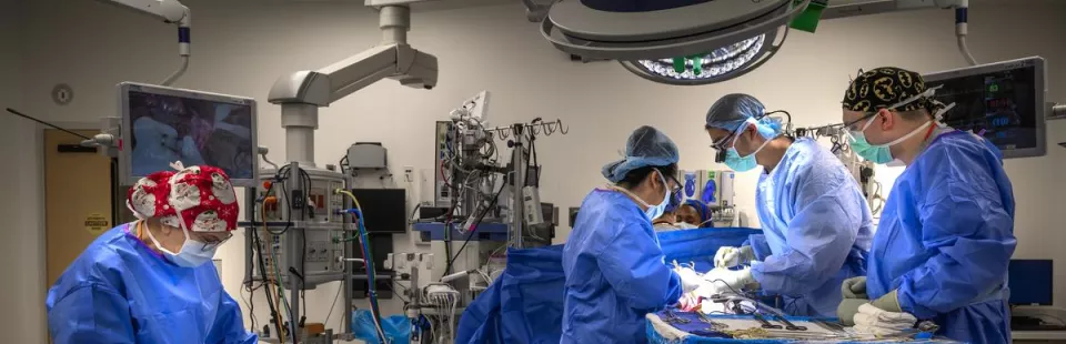 <p>Surgery</p>