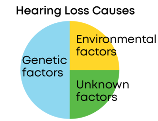 Hearing Loss Pie Graph