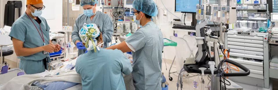 <p>Anesthesiology, Perioperative & Pain Medicine</p>