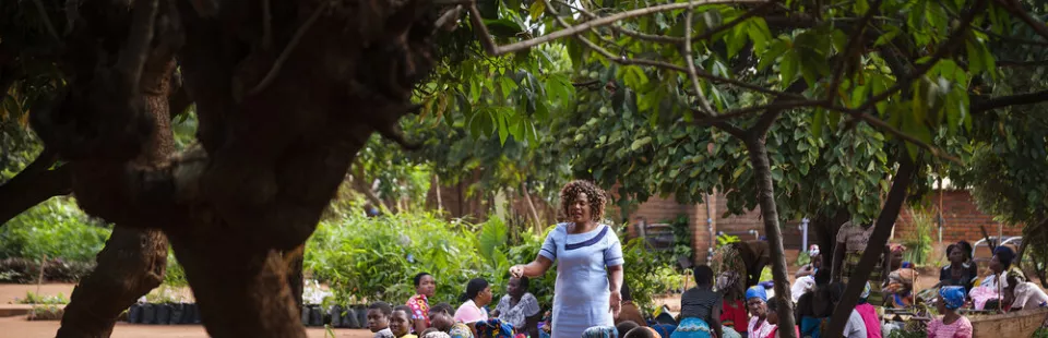 <p>Maternal Health</p>