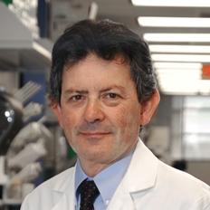 Malcolm K. Brenner, MD, PhD